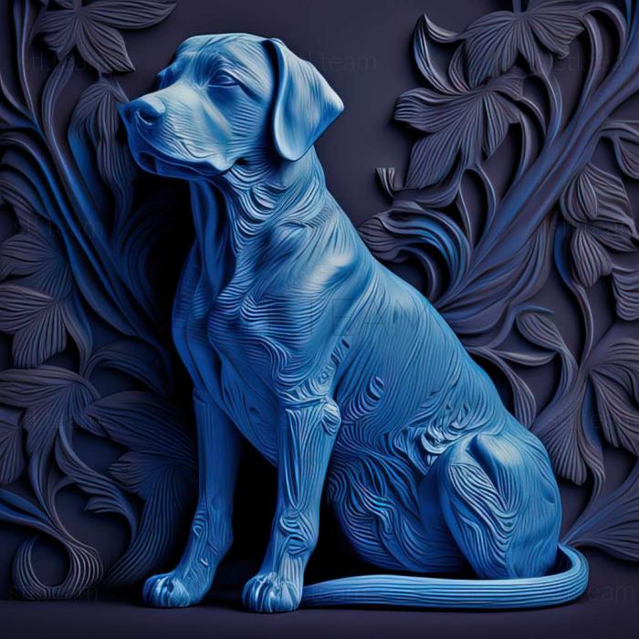 Голубая собака Лейси